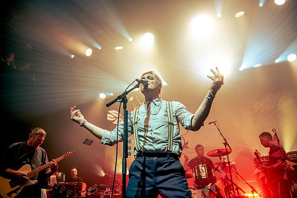 BABYSHAMBLES ARE BACK