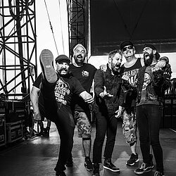 Zebrahead__c_Tobias_Sutter_L1130709.jpg